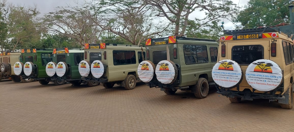 exciting africa holidays 1