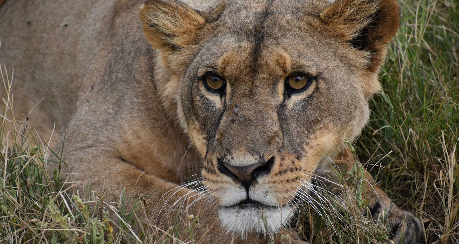 exciting africa holidays 1