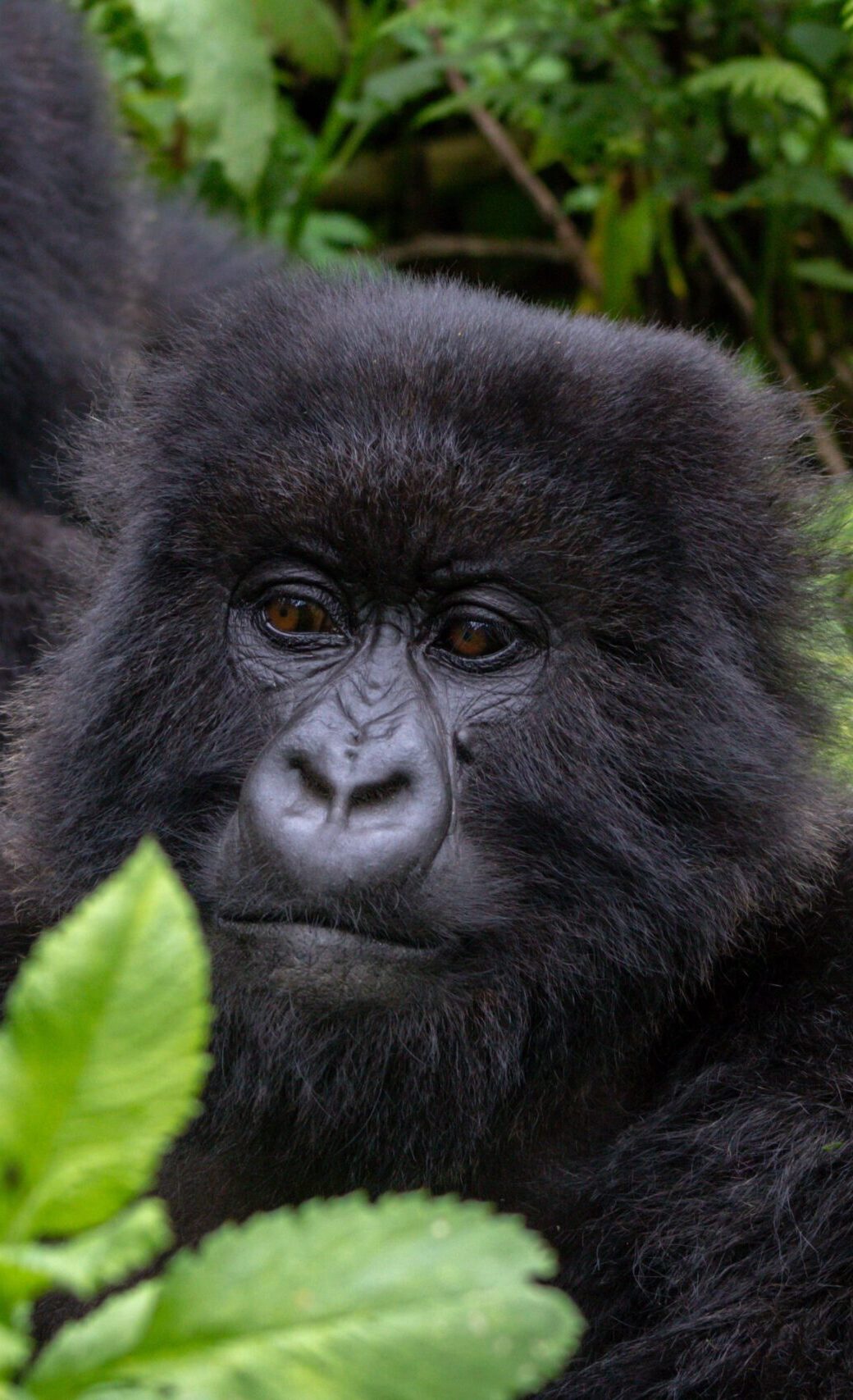 exciting africa safaris 13 scaled e1768481813319